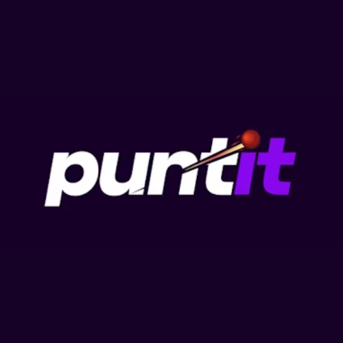 Puntit Batery